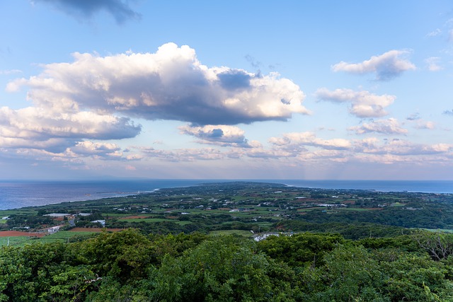 奄美大島の風景