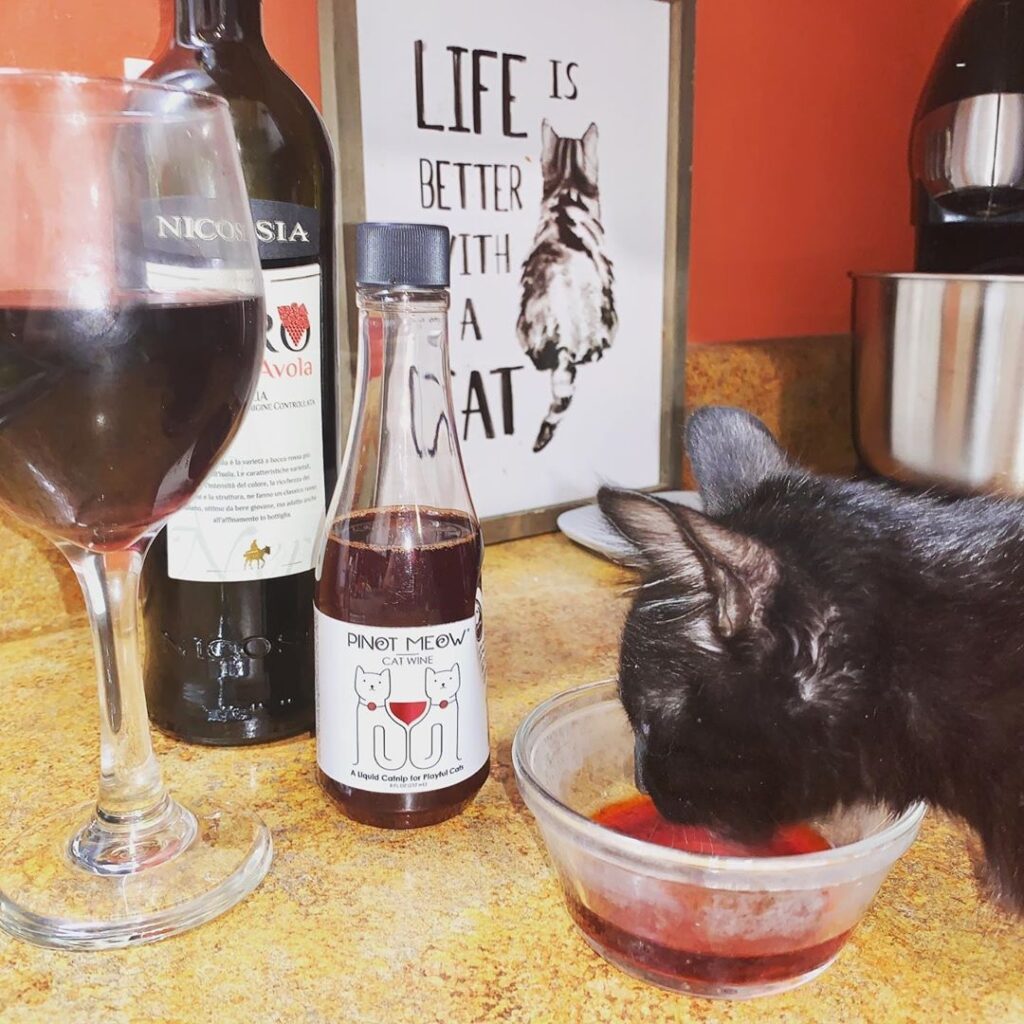 Pinot Meow