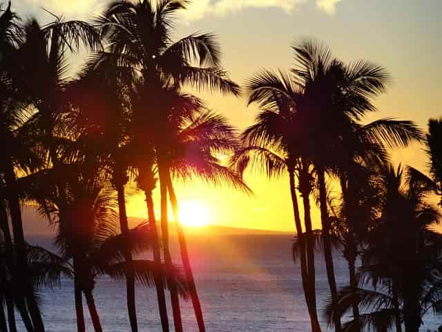 ビーチの夕日