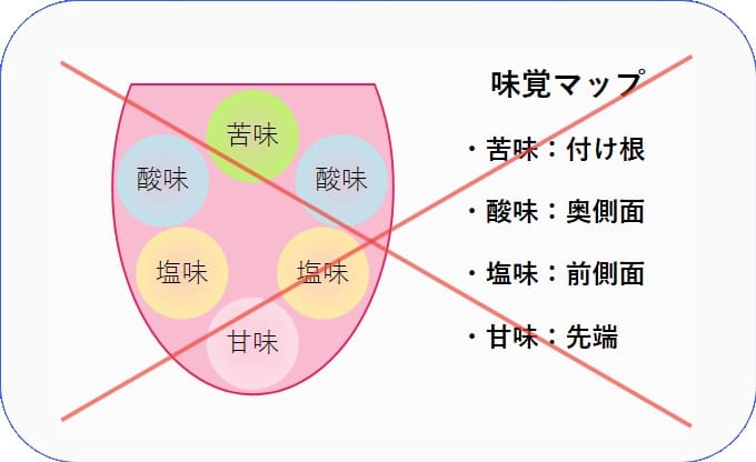味覚マップの嘘