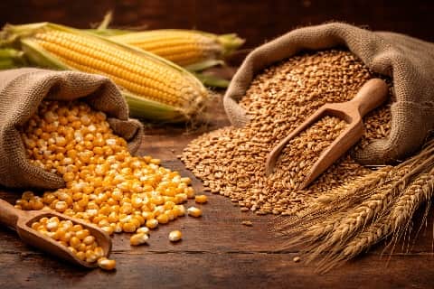 コーンとモルト